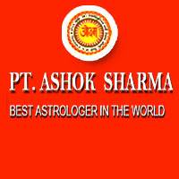 astrologer mohali best in india