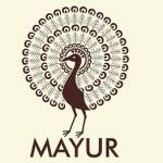 Mayur Enterprises